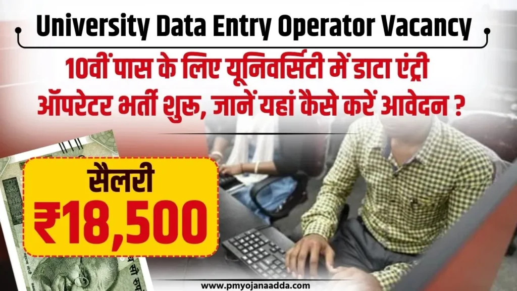 University Data Entry Operator Vacancy 2024